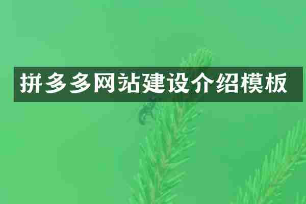 拼多多网站建设介绍模板