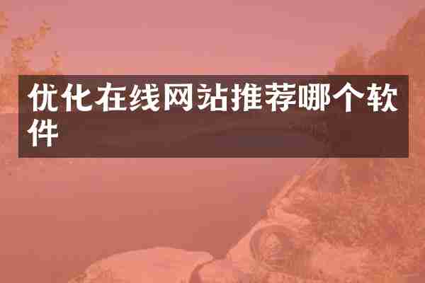 优化在线网站推荐哪个软件