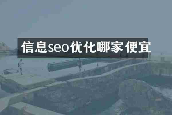 信息seo优化哪家便宜