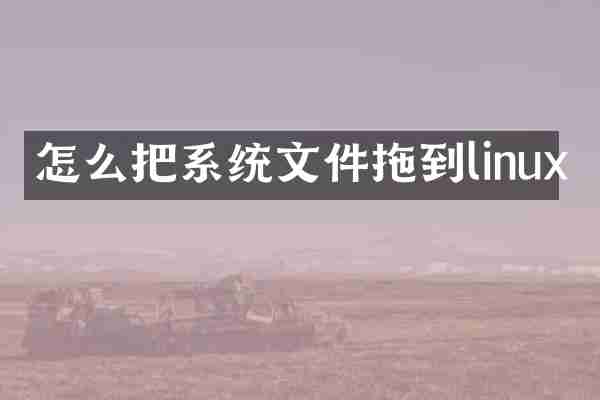怎么把系统文件拖到linux