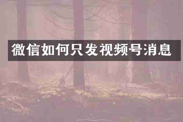 微信如何只发视频号消息