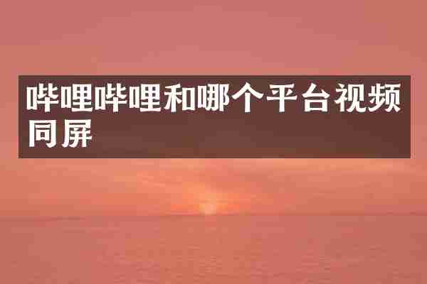 哔哩哔哩和哪个平台视频同屏
