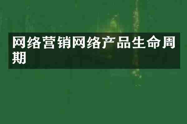 网络营销网络产品生命周期