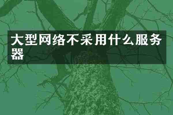 大型网络不采用什么服务器