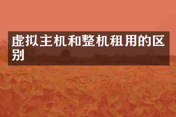虚拟主机和整机租用的区别