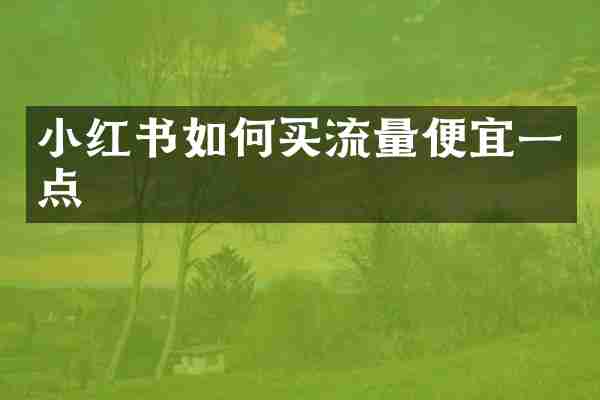 小红书如何买流量便宜一点