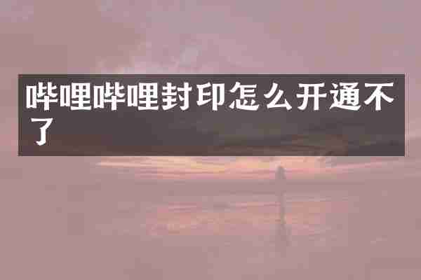 哔哩哔哩封印怎么开通不了
