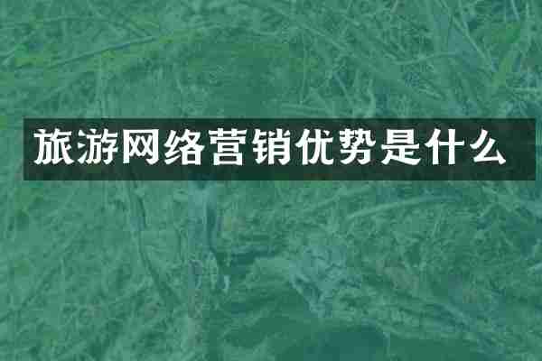 旅游网络营销优势是什么