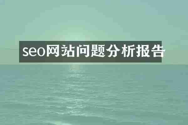 seo网站问题分析报告