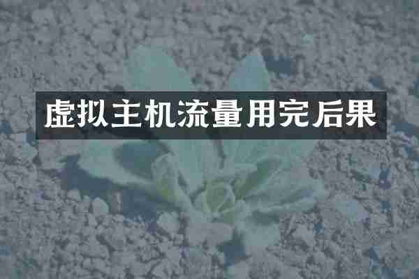 虚拟主机流量用完后果