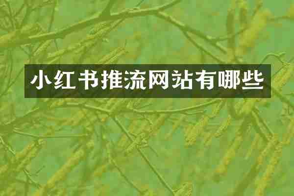 小红书推流网站有哪些