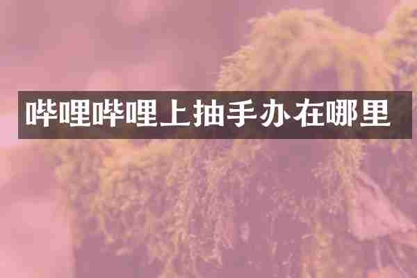 哔哩哔哩上抽手办在哪里