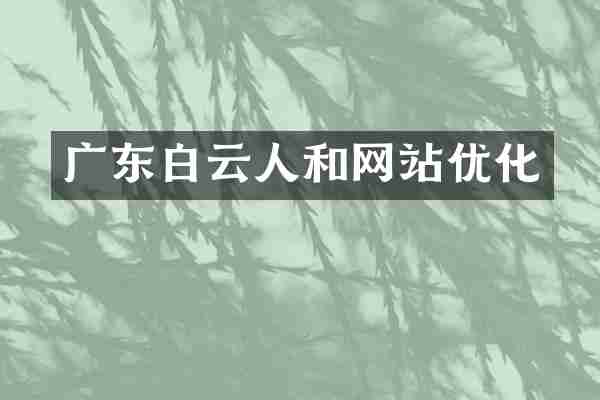 广东白云人和网站优化