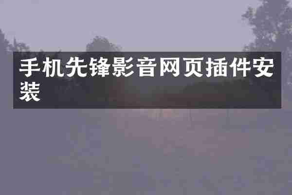 手机先锋影音网页插件安装