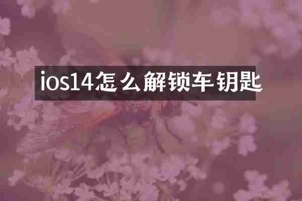 ios14怎么解锁车钥匙