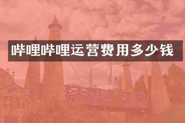 哔哩哔哩运营费用多少钱