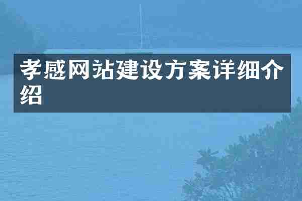 孝感网站建设方案详细介绍