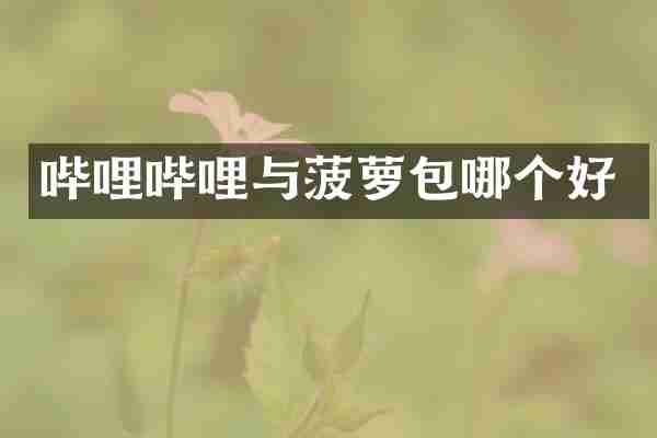 哔哩哔哩与菠萝包哪个好