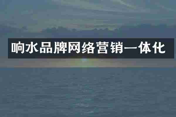 响水品牌网络营销一体化