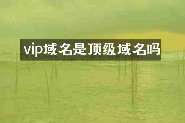 vip域名是顶级域名吗