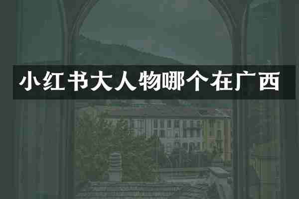 小红书大人物哪个在广西