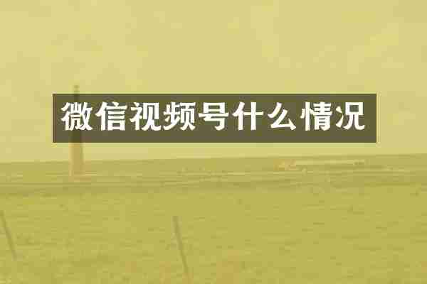 微信视频号什么情况