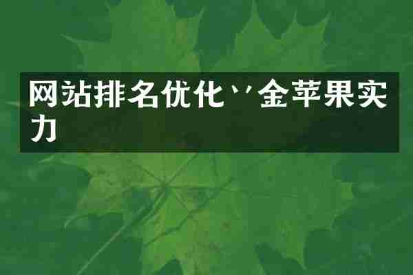 网站排名优化丷金苹果实力