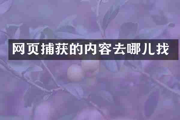网页捕获的内容去哪儿找