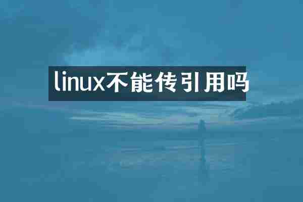 linux不能传引用吗