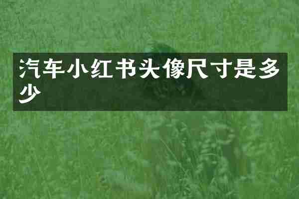 汽车小红书头像尺寸是多少