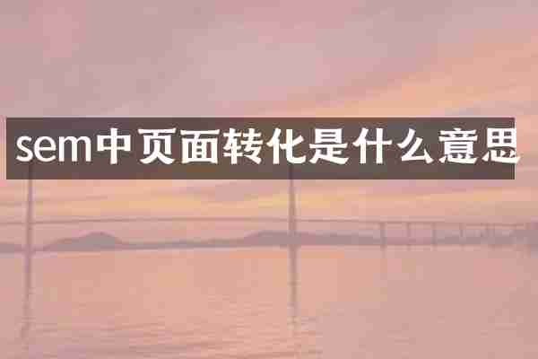 sem中页面转化是什么意思