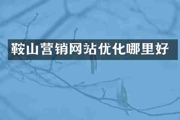鞍山营销网站优化哪里好