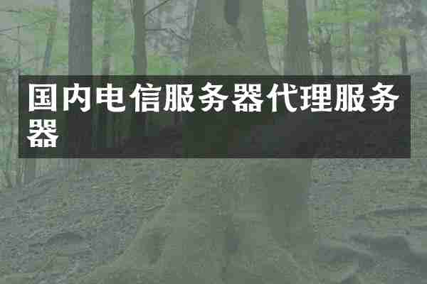 国内电信服务器代理服务器
