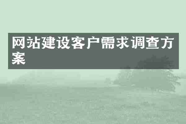 网站建设客户需求调查方案
