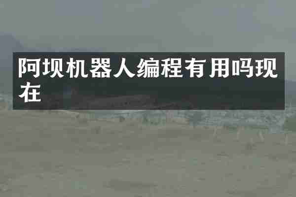 阿坝机器人编程有用吗现在