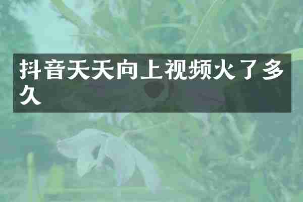 抖音天天向上视频火了多久