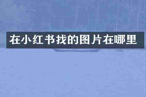 在小红书找的图片在哪里