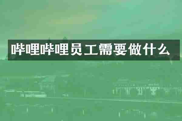哔哩哔哩员工需要做什么