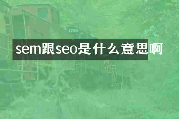 sem跟seo是什么意思啊