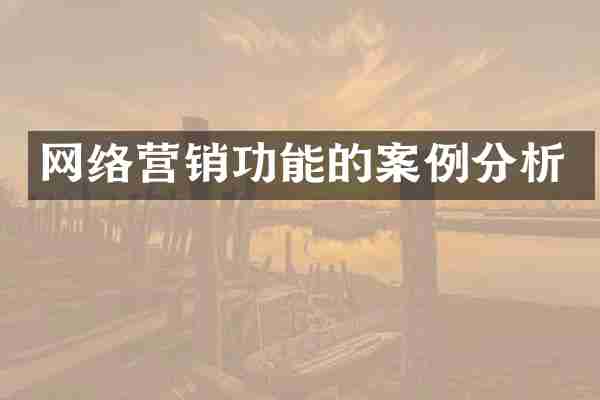 网络营销功能的案例分析