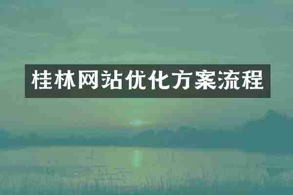 桂林网站优化方案流程
