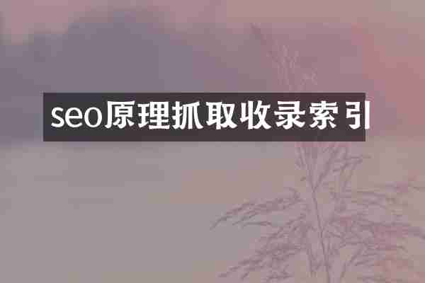 seo原理抓取收录索引