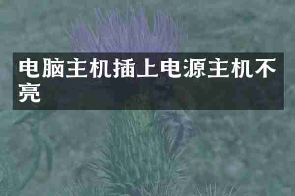 电脑主机插上电源主机不亮