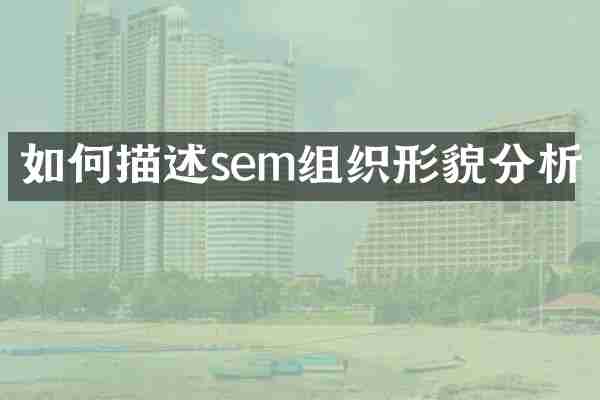 如何描述sem组织形貌分析