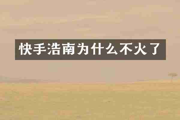 快手浩南为什么不火了