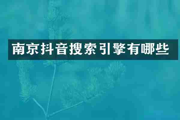 南京抖音搜索引擎有哪些