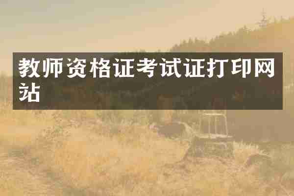 教师资格证考试证打印网站