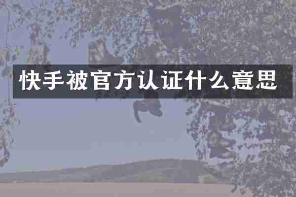 快手被官方认证什么意思