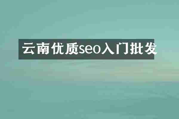 云南优质seo入门批发
