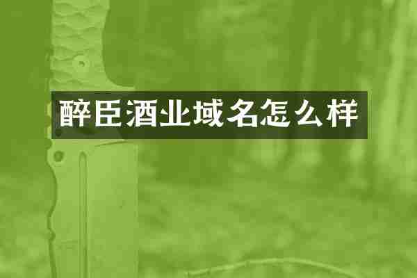醉臣酒业域名怎么样